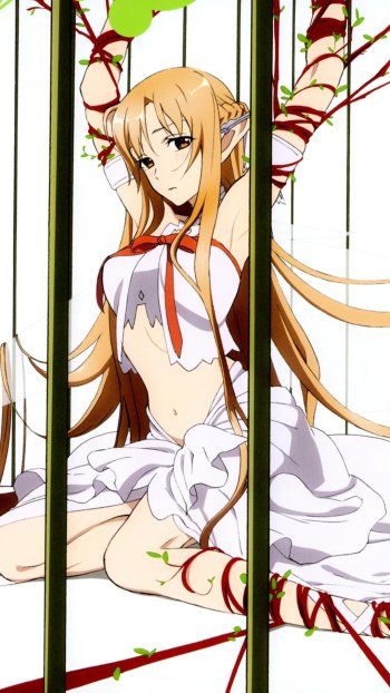 Anime Sword Art Online Phone Wallpaper