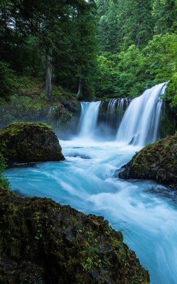 greenery foam river nature waterfall Phone Wallpaper