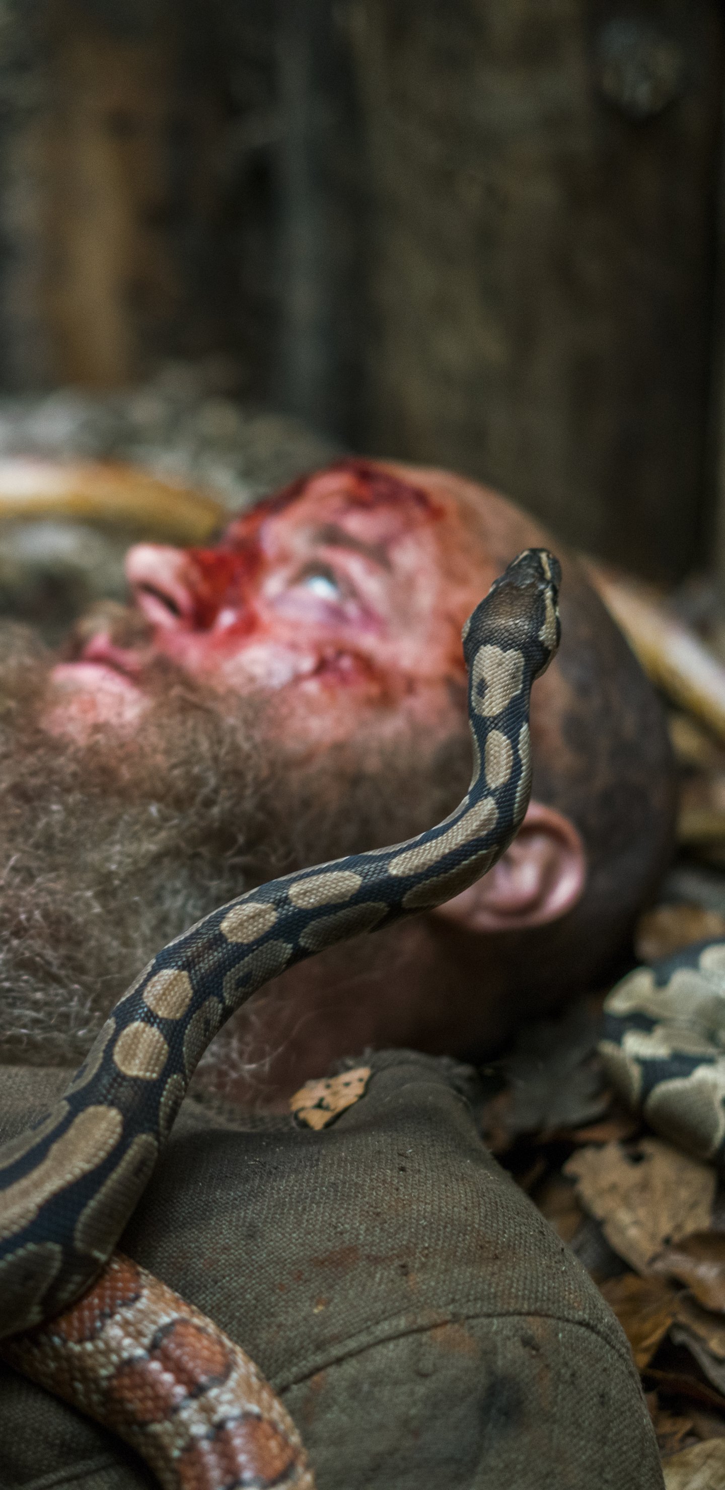 Download Snake TV Show Vikings (2013) Phone Wallpaper