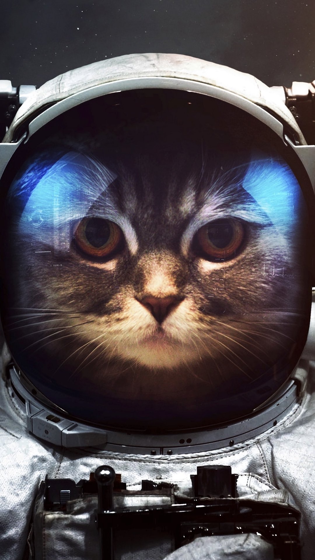 Download Space Suit Cat Sci Fi Astronaut Phone Wallpaper