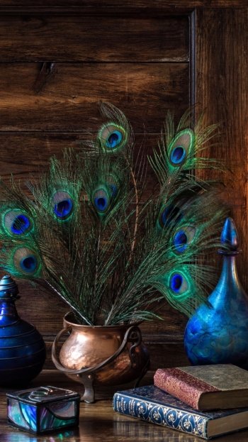 feather book vase photography still life Phone Wallpaper