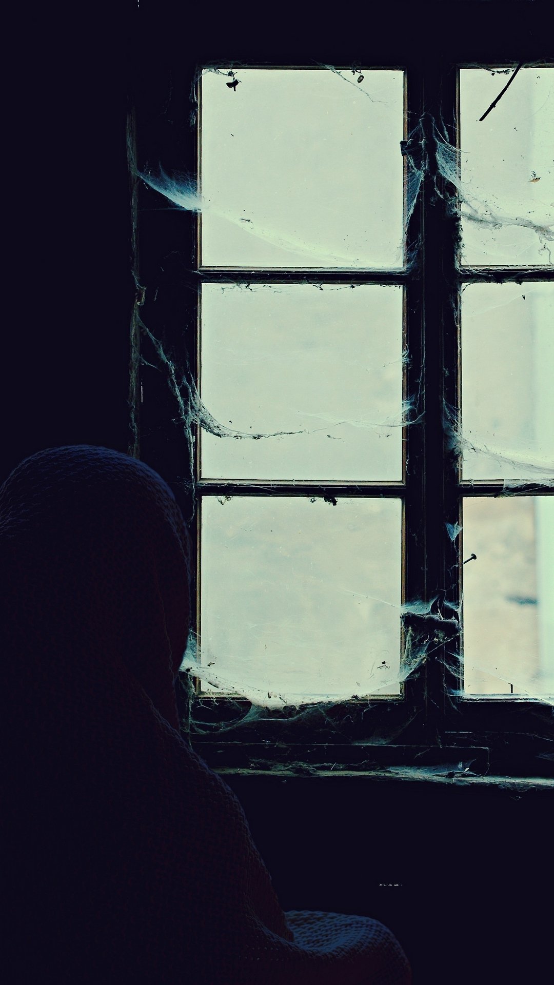 Download Spider Web Man Made Window Phone Wallpaper