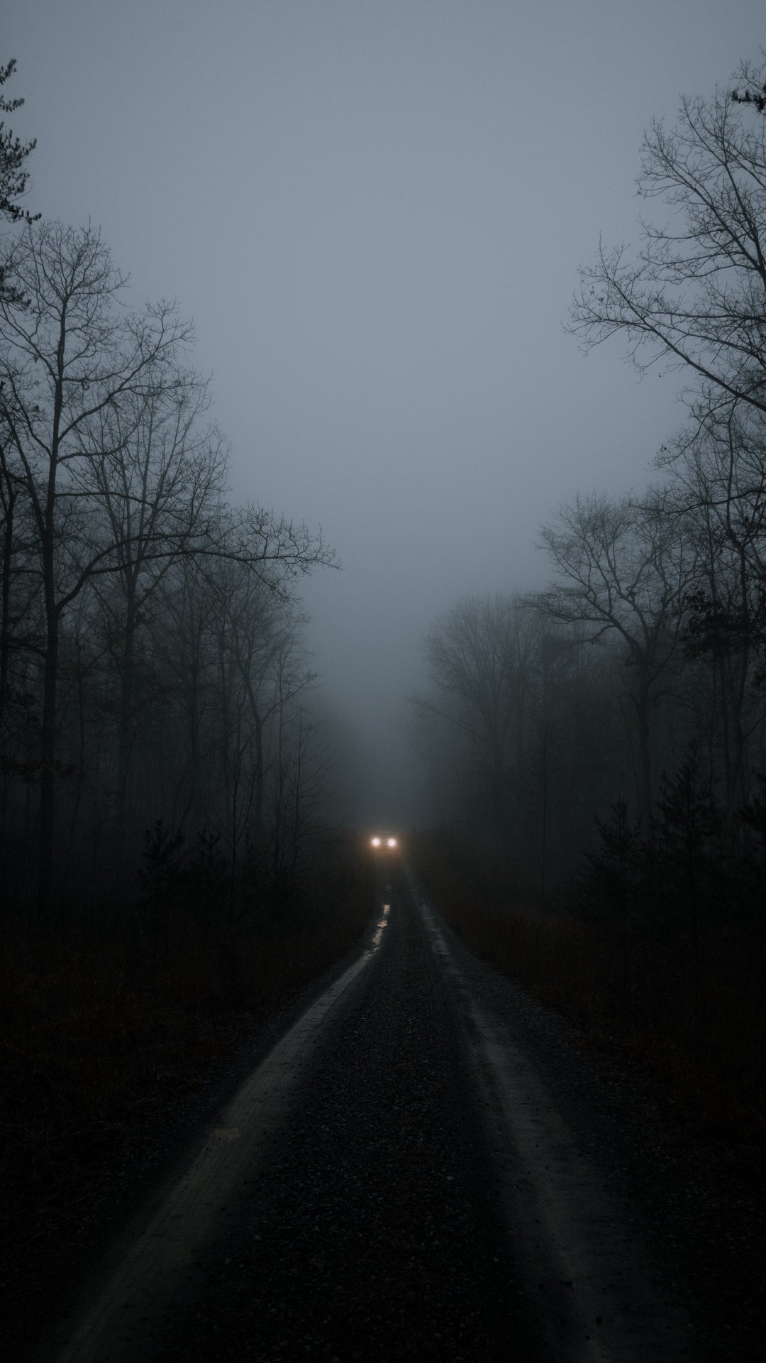 Phone wallpaper: moody night photography of a lone car's headlights piercing fog on a narrow road, flanked by skeletal trees.