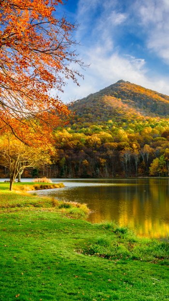  Autumn River