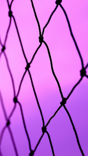 purple man made fence Phone Wallpaper