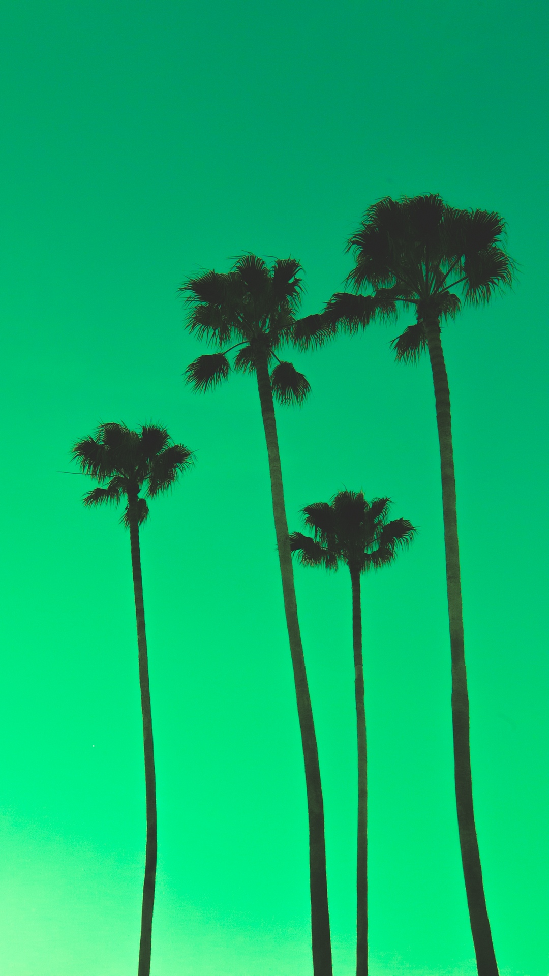 Palm Tree Phone Wallpaper by Kenrick Mills - Mobile Abyss