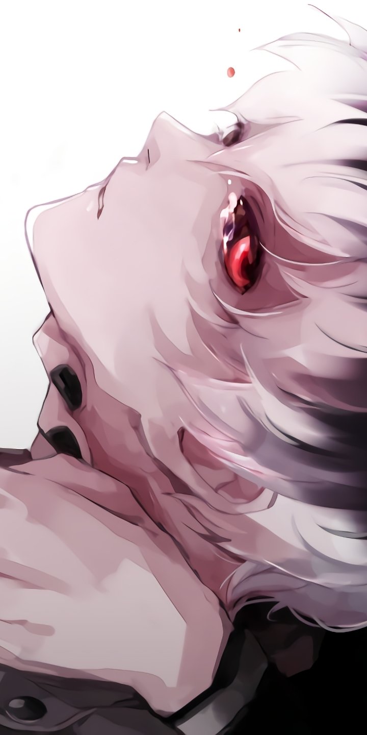 Anime phone wallpaper of Haise Sasaki (Ken Kaneki) from Tokyo Ghoul:re — white‑haired close-up with a glowing red eye and a tilted, melancholic expression.