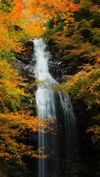 fall nature waterfall Phone Wallpaper
