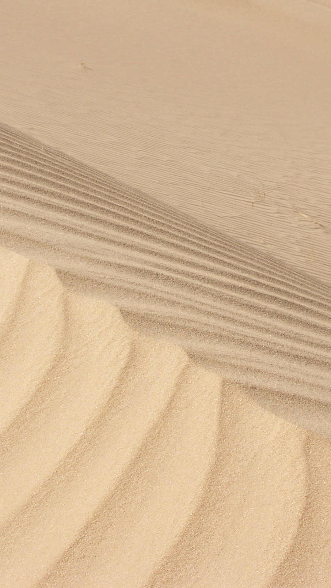 Sand dunes - Algeria