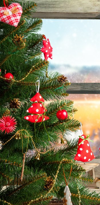  Christmas Window