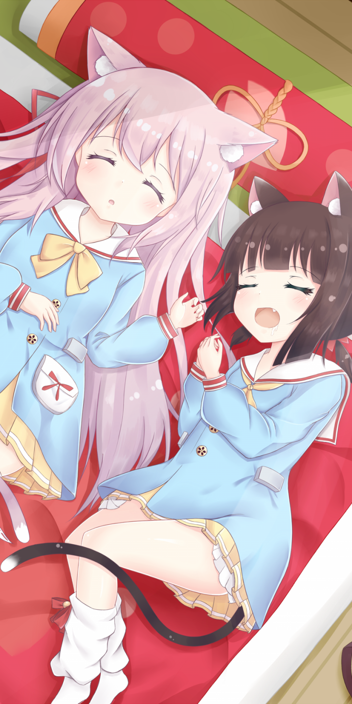 Download Mutsuki (Azur Lane) Kisaragi (Azur Lane) Anime Azur Lane Phone Wallpaper