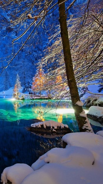  Snowy Trees on Lake in Switzerland