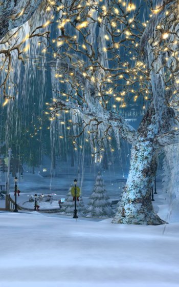  Lighted Trees at Winter Park