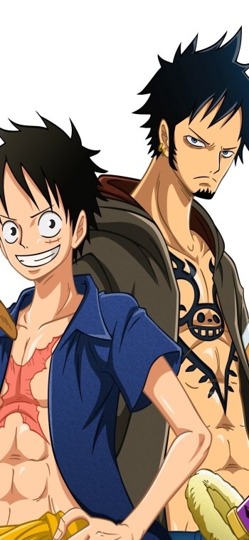  Luffy and Law