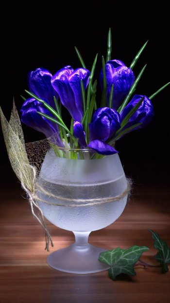  Crocuses