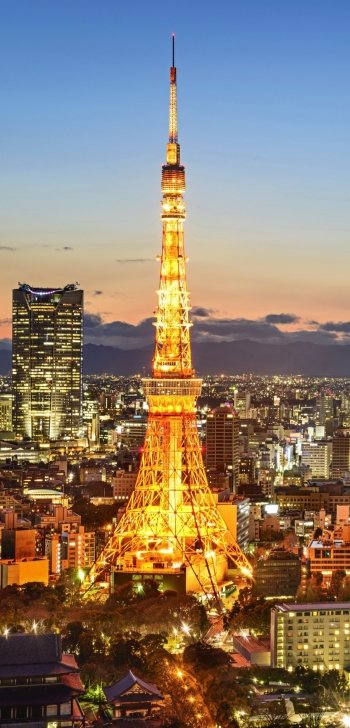 tv tower Japan man made Tokyo Phone Wallpaper