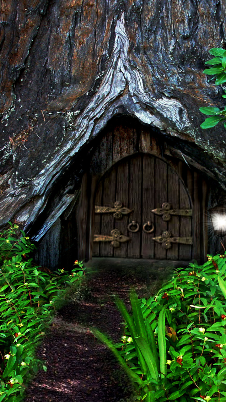 Hobbit House in the Forest
