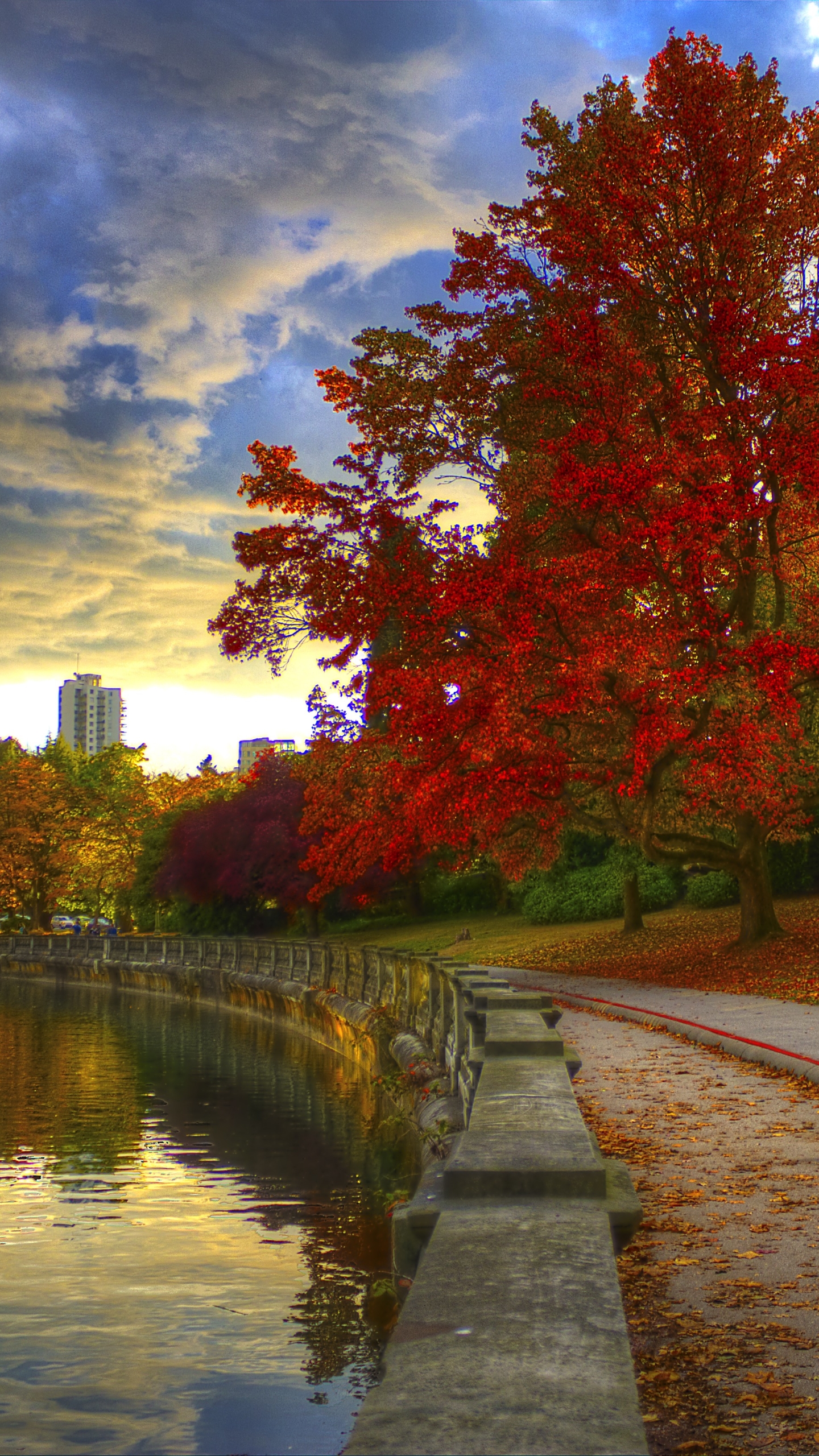 Beautiful Colour's of Fall in Stanley Park, Vancouver by Onur Kurtic