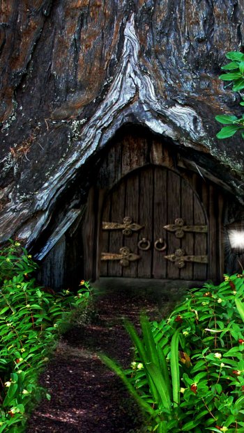  Hobbit House in the Forest
