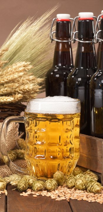 glass still life bottle alcohol drink food beer Phone Wallpaper