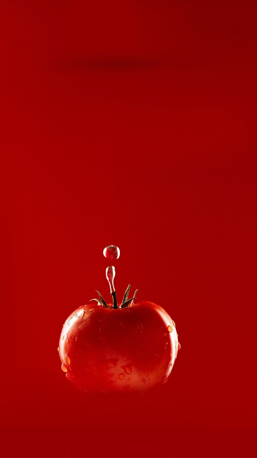 Download Food Tomato Phone Wallpaper