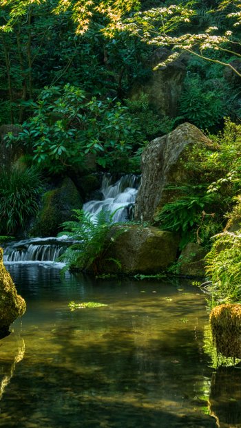 waterfall moss nature photography park Phone Wallpaper