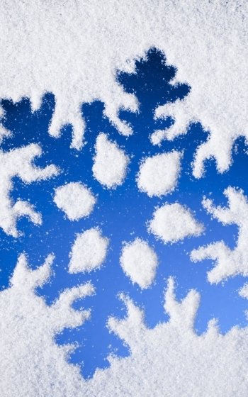 nature snowflake Phone Wallpaper