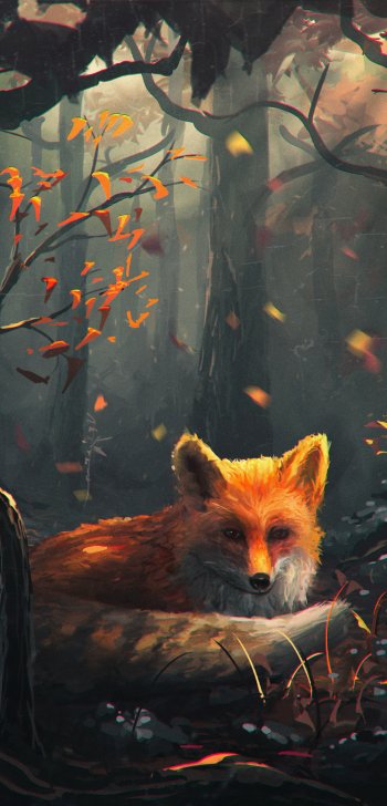 Red Fox in Autumn Forest