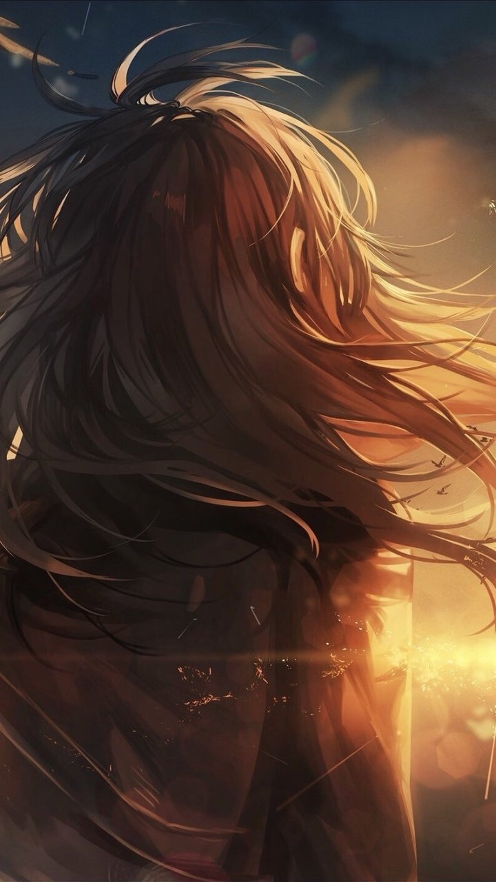 Download Long Hair Black Hair Bird Anime Original Anime Sunset Anime Bird Phone Wallpaper