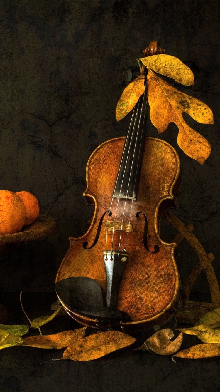 Download Leaf Fall Violin Photography Still Life Phone Wallpaper