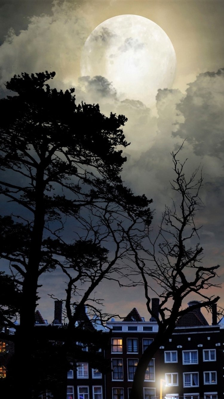 Download Tree Netherlands Cloud Night Earth Nature Moon Phone Wallpaper