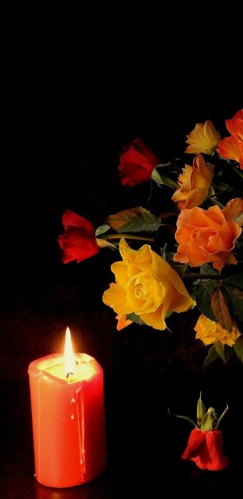  Roses and Candle
