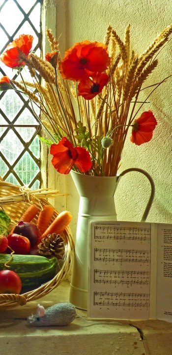 photography still life Phone Wallpaper