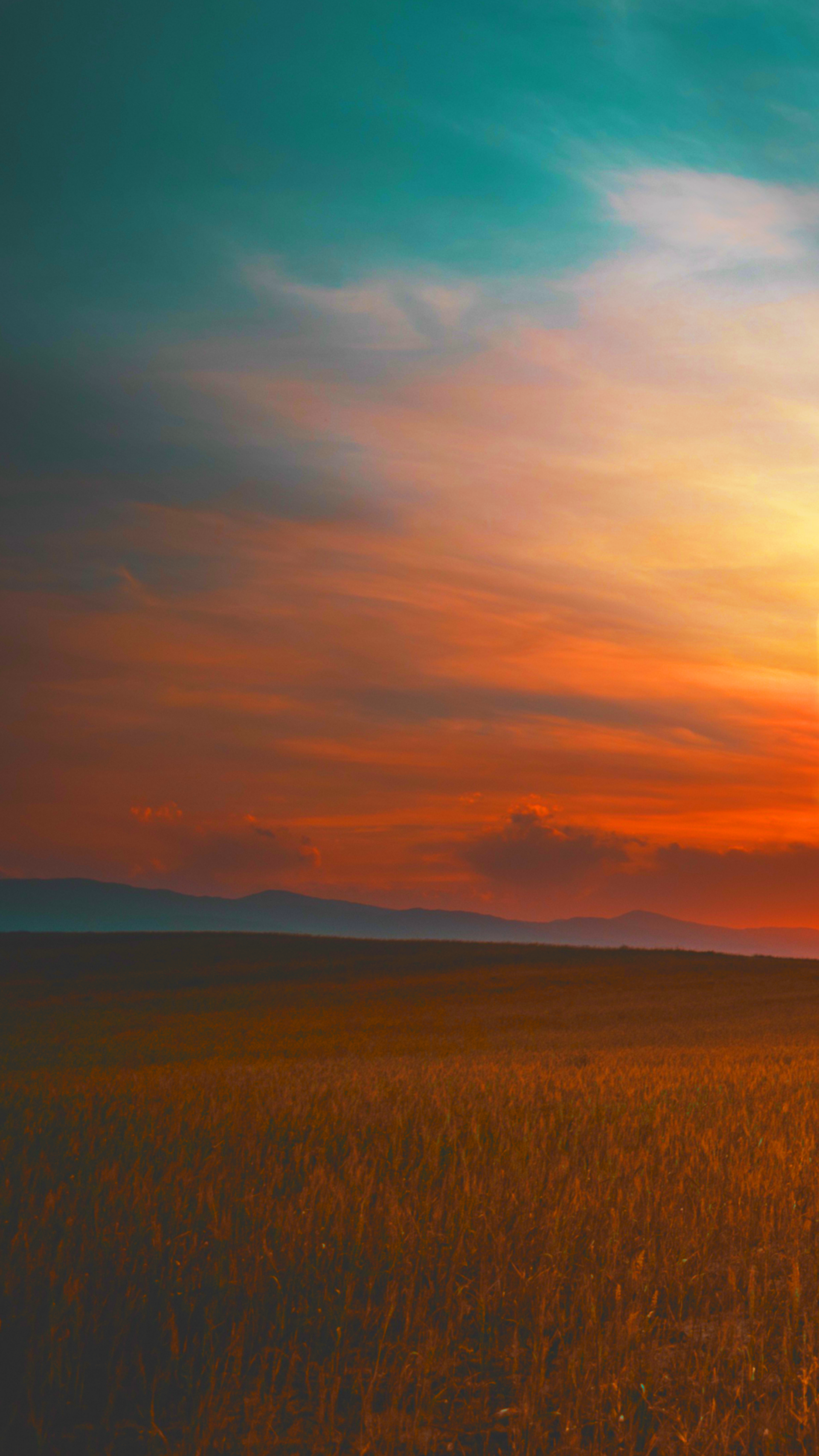 Download Video Game Far Cry 5 Phone Wallpaper