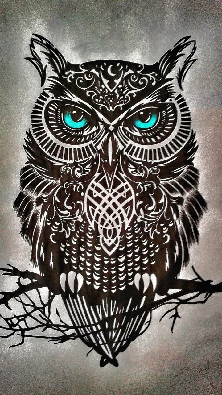 Download Animal Owl Phone Wallpaper