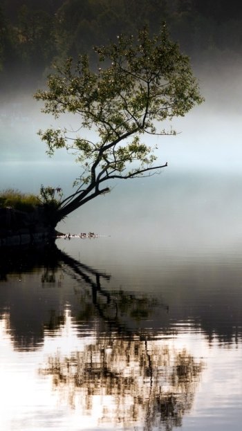 photography reflection Phone Wallpaper