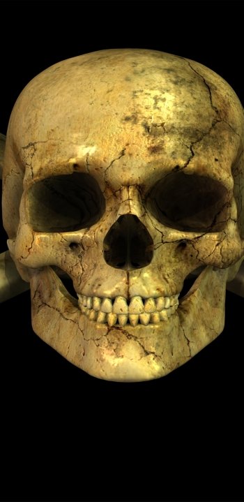 dark skull Phone Wallpaper