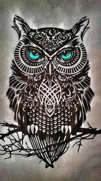 Animal owl Phone Wallpaper