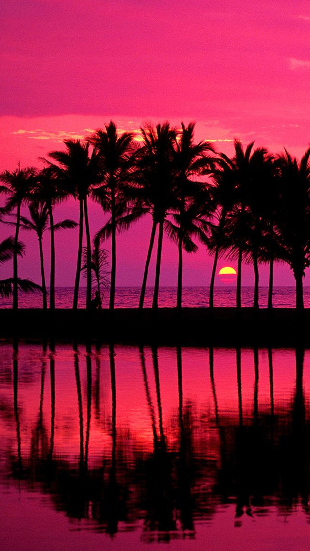 Phone wallpaper: vibrant pink sunset over the ocean with silhouetted palm trees and the sun reflected in calm water, a nature scene celebrating Earth's warm horizon.