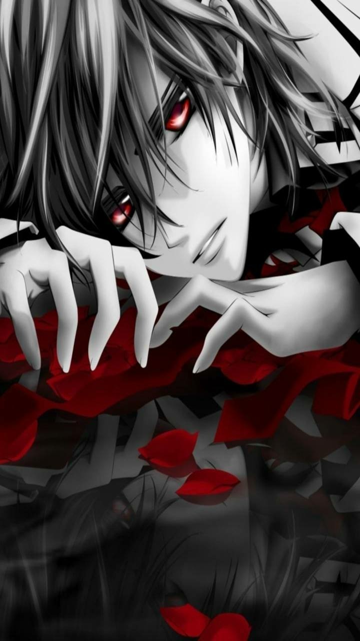 Download Kaname Kuran Anime Vampire Knight Phone Wallpaper