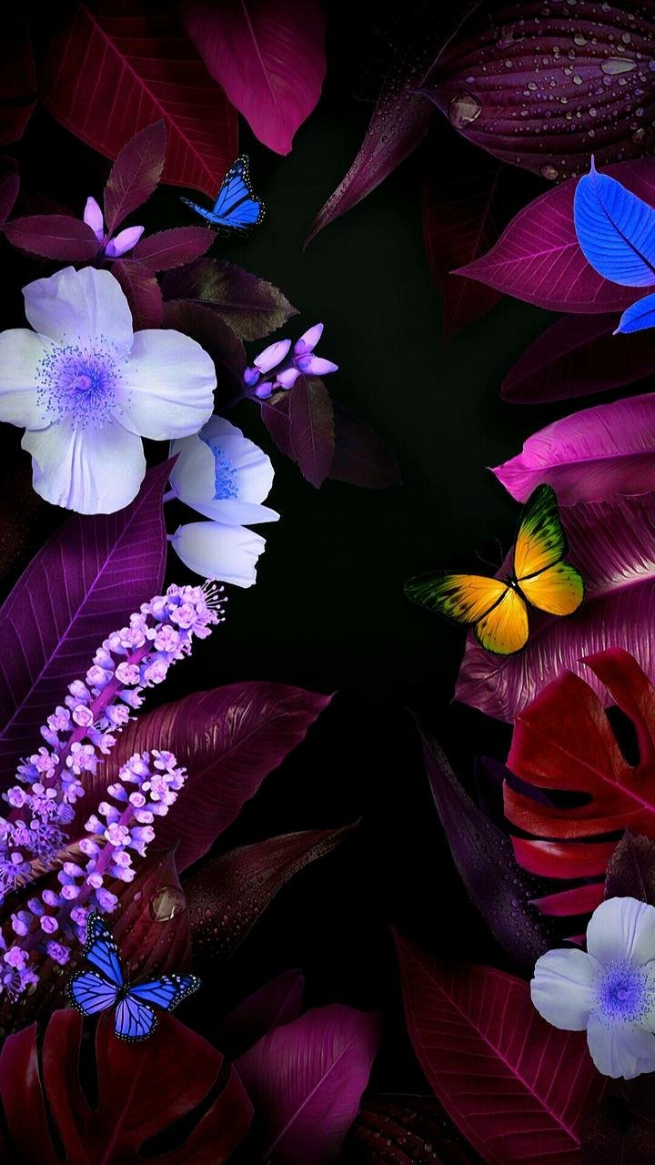Download Colorful Butterfly Artistic Flower Phone Wallpaper