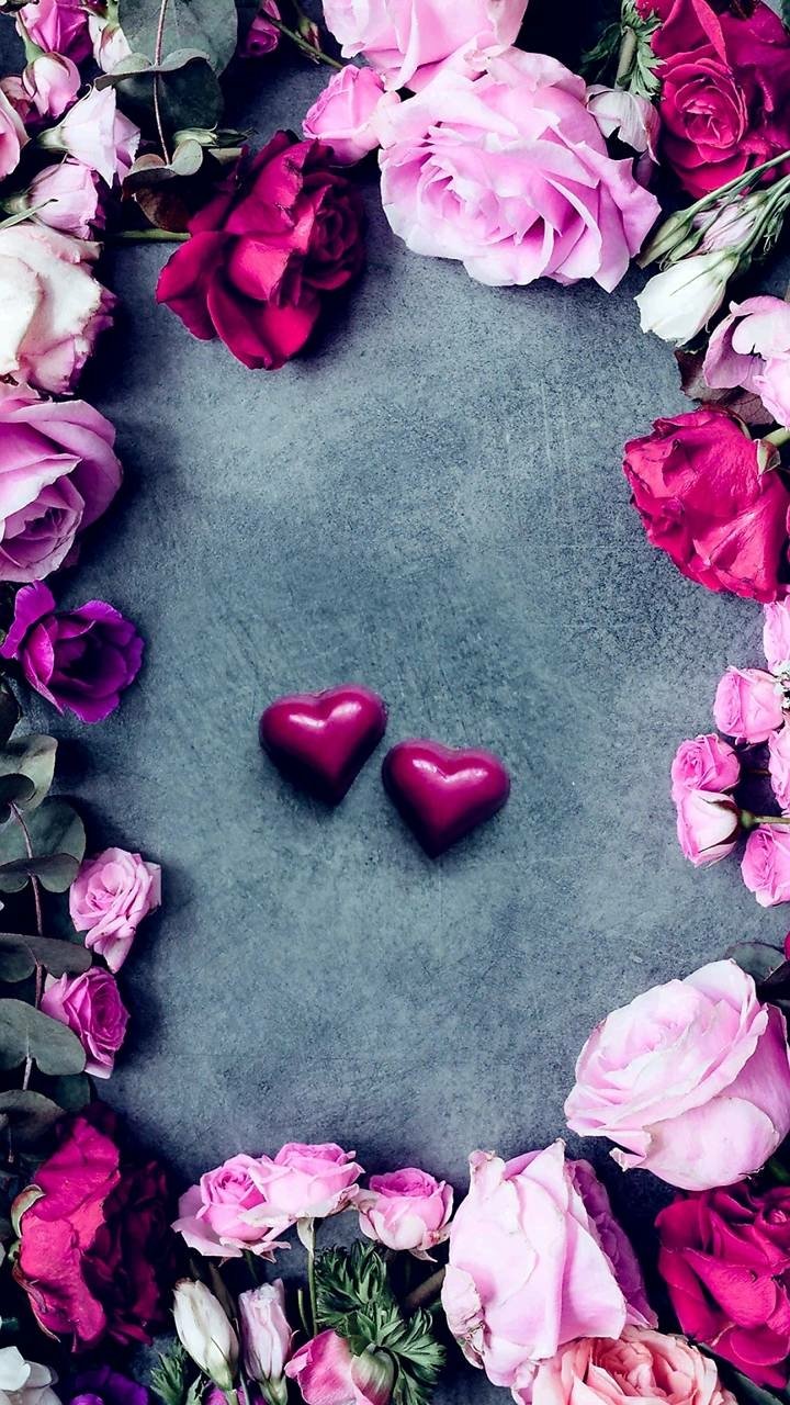 Download Heart Pink Rose Flower Artistic Rose Phone Wallpaper