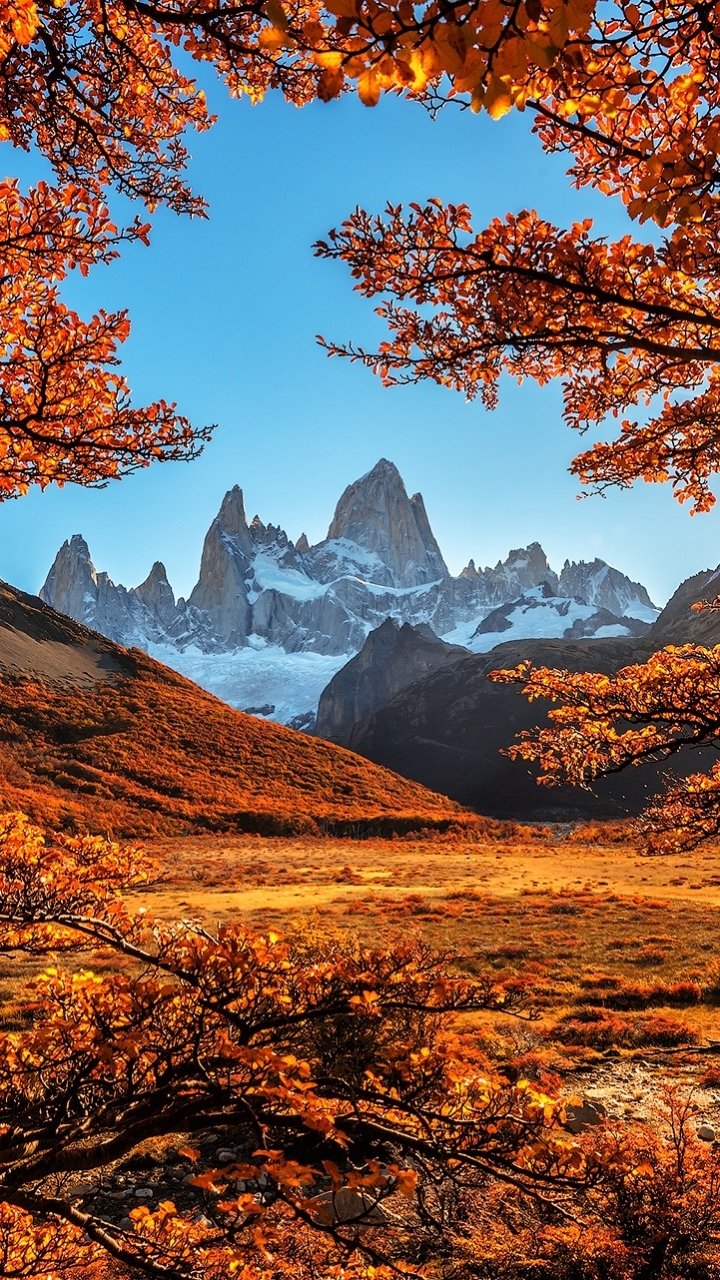 Phone wallpaper: fall mountain nature scene—jagged snow-capped peaks framed by orange autumn trees and a golden meadow beneath a clear blue sky.