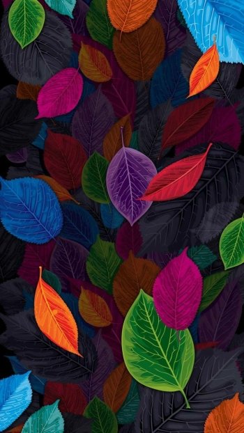  Colorful leaves