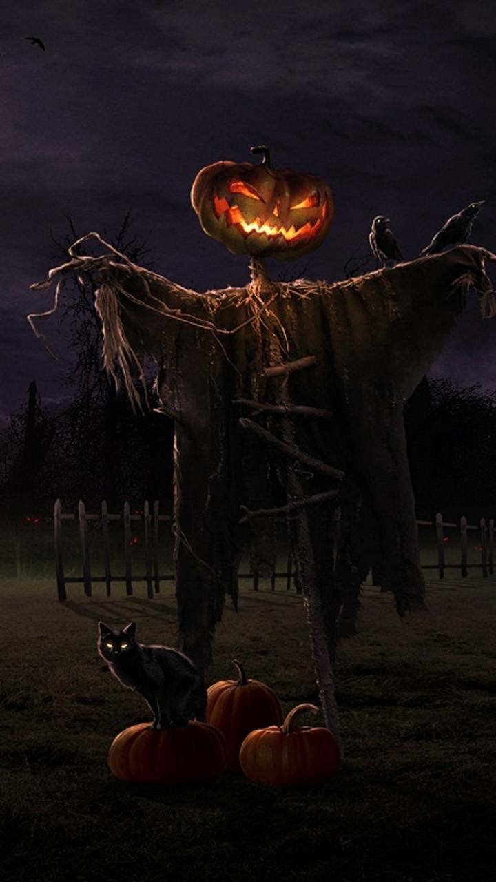Download Jack-o'-lantern Scarecrow Holiday Halloween Phone Wallpaper