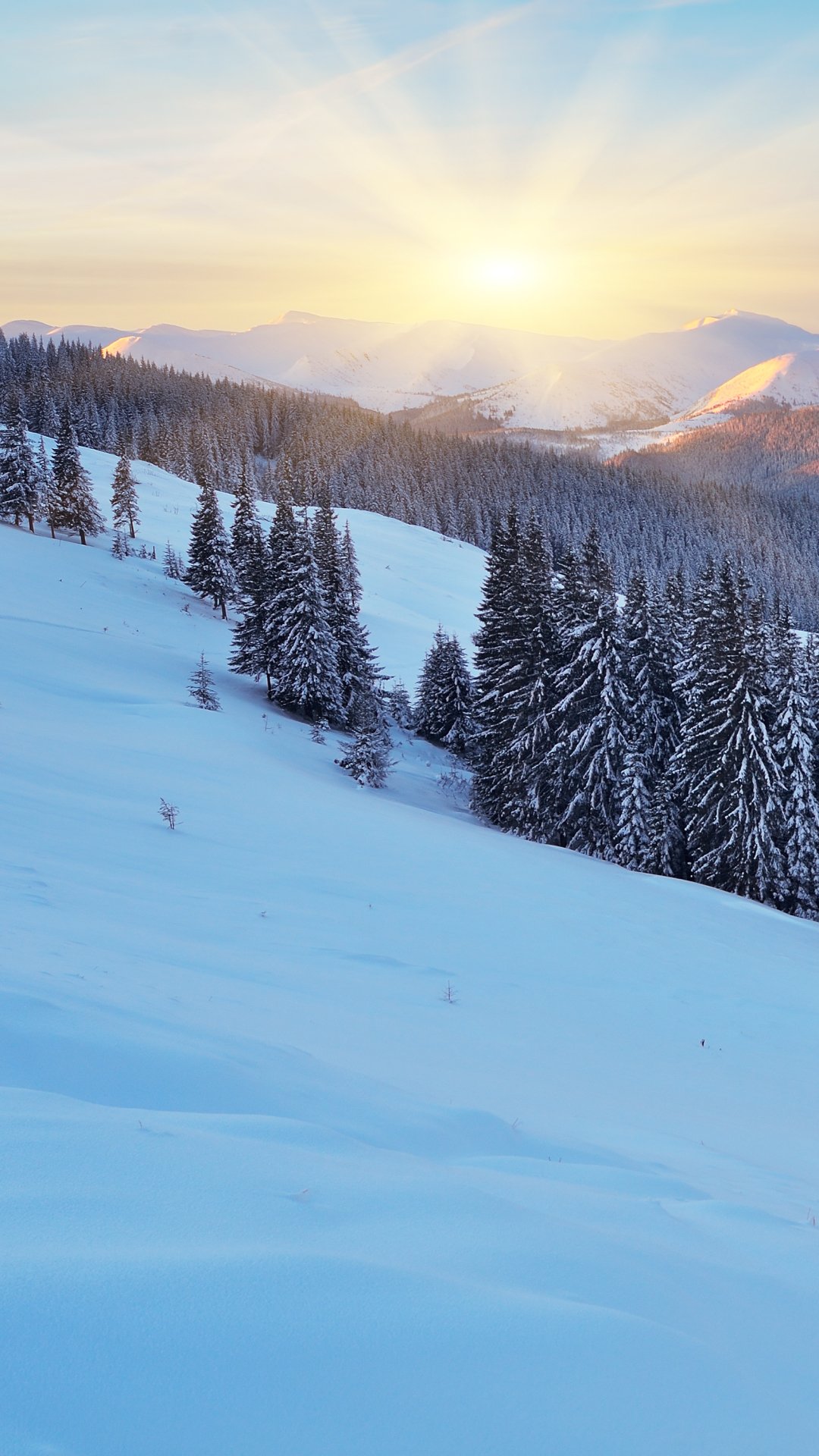 Phone wallpaper of a winter nature landscape: snow-covered slopes and trees, an evergreen forest, and a Snowy Mountain range glowing in sunrise light.