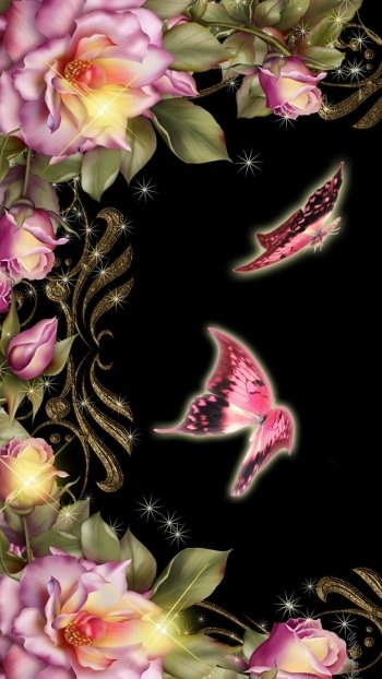  Flowers and Butterflies