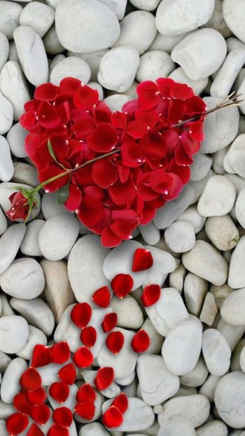 stone petal holiday Valentine's Day Phone Wallpaper