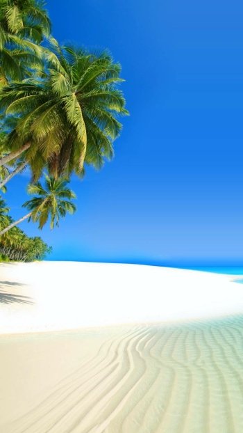  Tropical Island