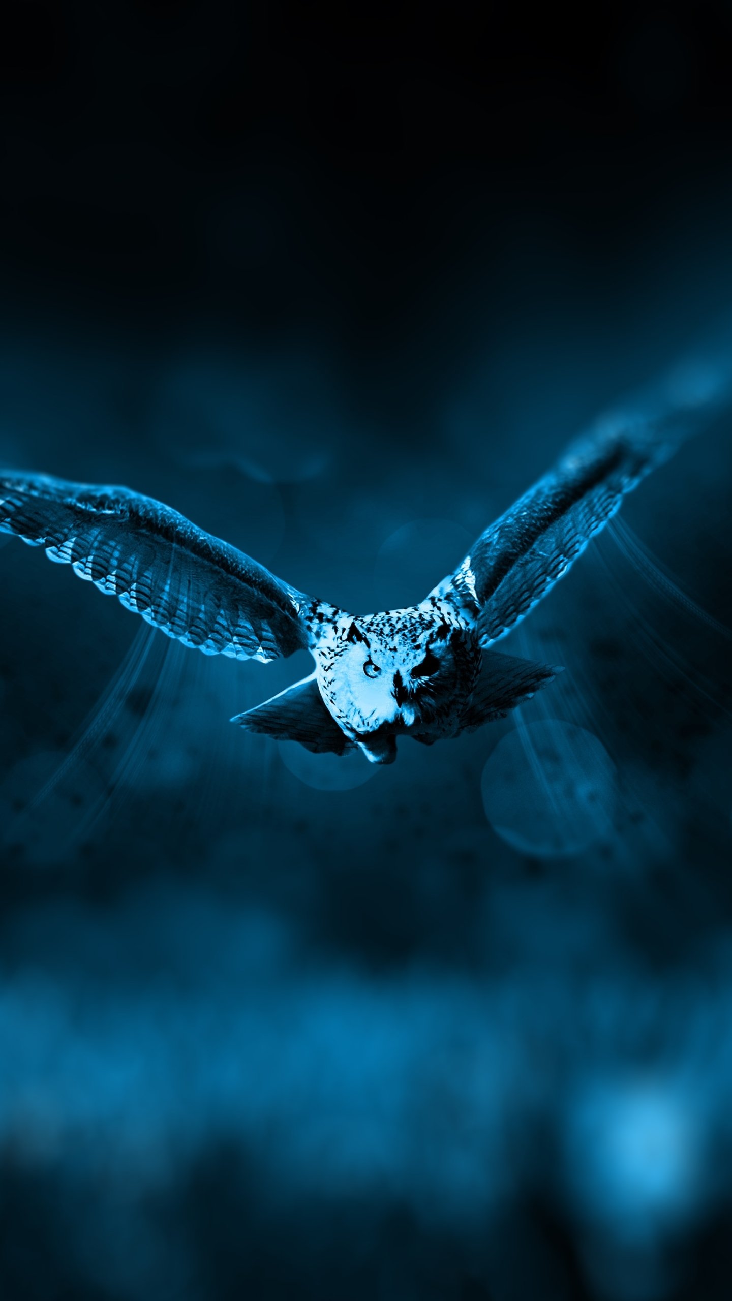 Download Bokeh Night Bird Animal Owl Phone Wallpaper